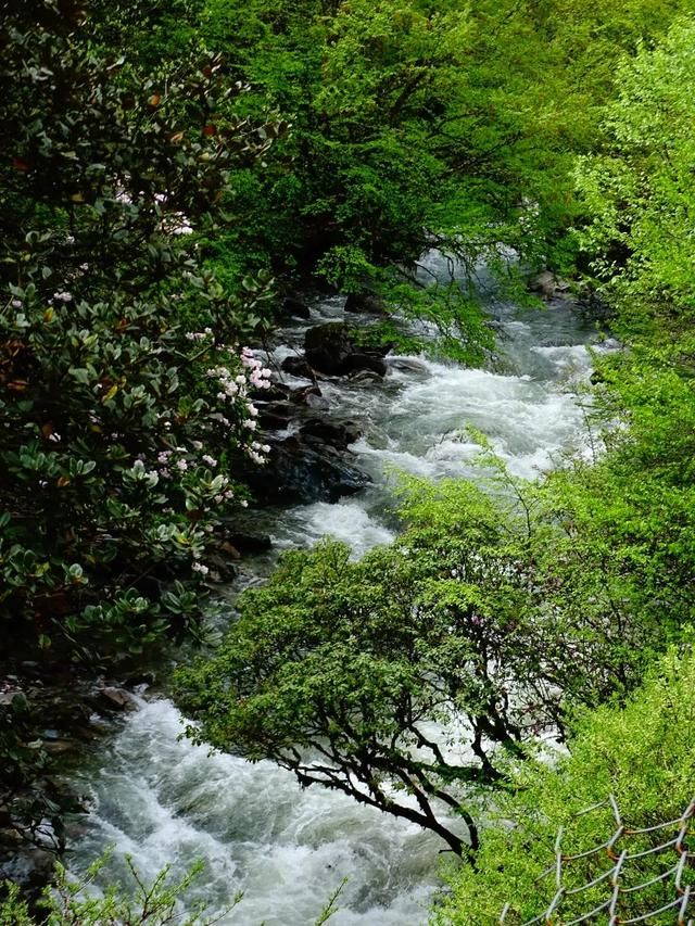 卧龙邓生沟在哪里(卧龙邓生沟)