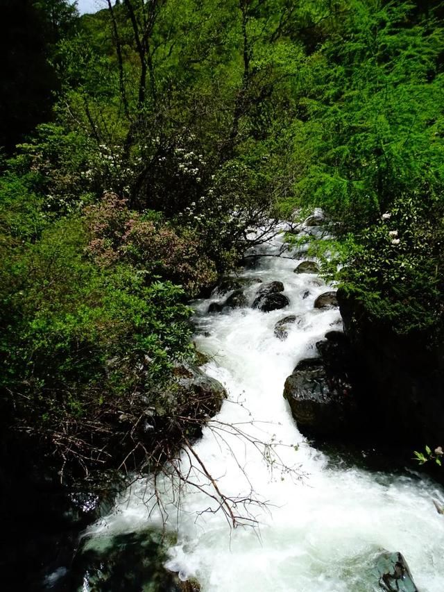 卧龙邓生沟在哪里(卧龙邓生沟)