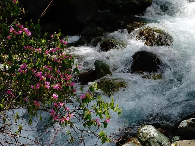 卧龙邓生沟在哪里(卧龙邓生沟)