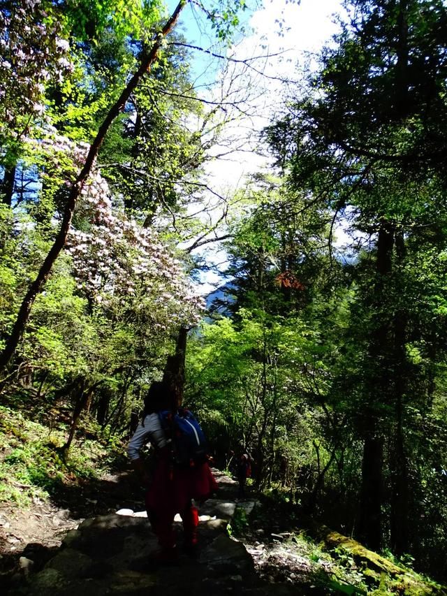 卧龙邓生沟在哪里(卧龙邓生沟)