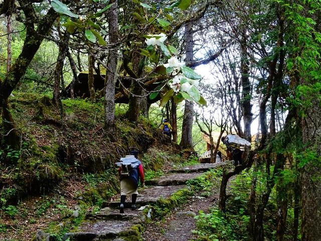 卧龙邓生沟在哪里(卧龙邓生沟)