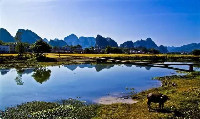 宝墩湖在哪里(宝墩种植基地在哪里)