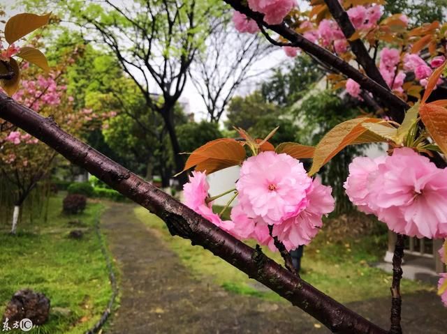 东林书院在哪(豪杰成长计划东林书院在哪)