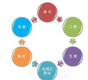 关于重庆社保查询单位账户网上查询的信息