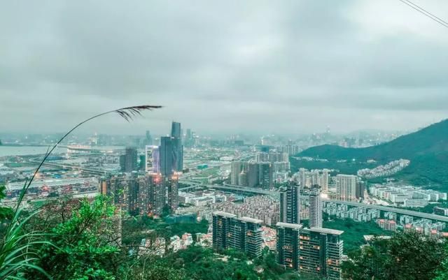 前海在哪个区(深圳市前海在哪个区)