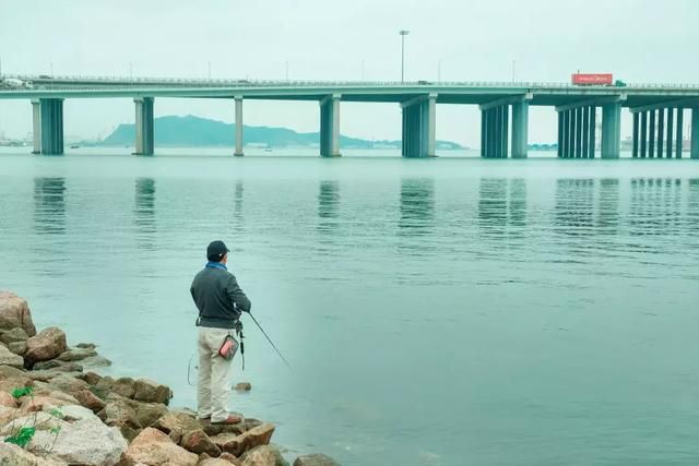 前海在哪个区(深圳市前海在哪个区)