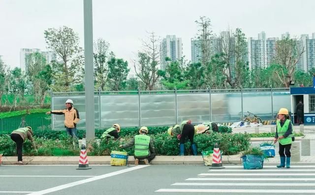 前海在哪个区(深圳市前海在哪个区)