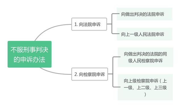 上诉在哪里(上诉再审修订)