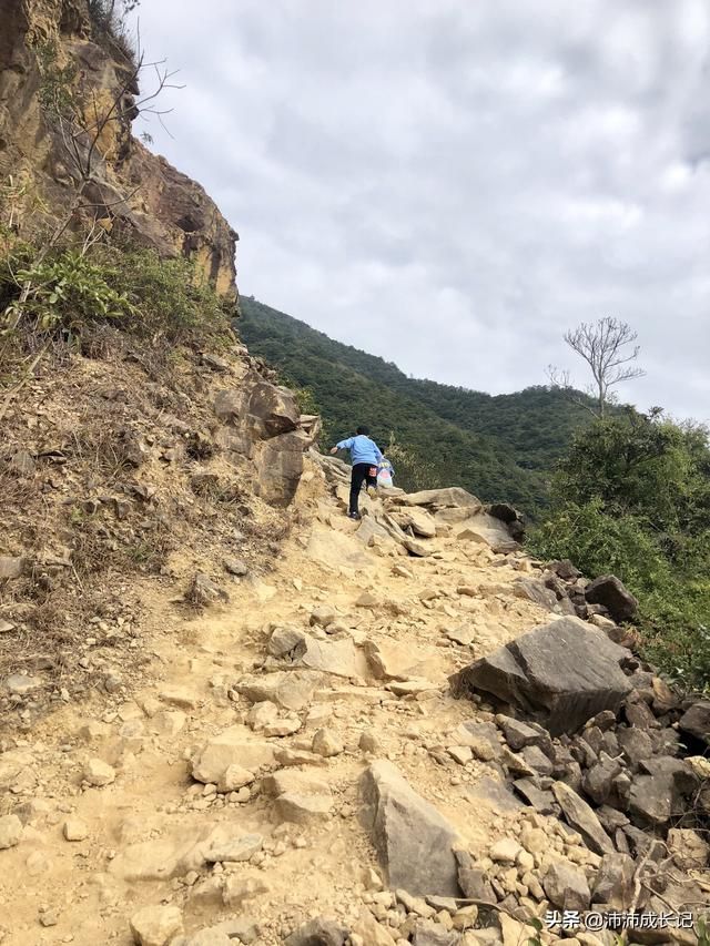 梧桐山大门在哪个入口(梧桐山总站是哪个入口)