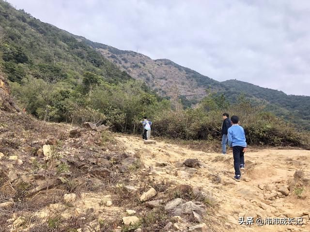 梧桐山大门在哪个入口(梧桐山总站是哪个入口)