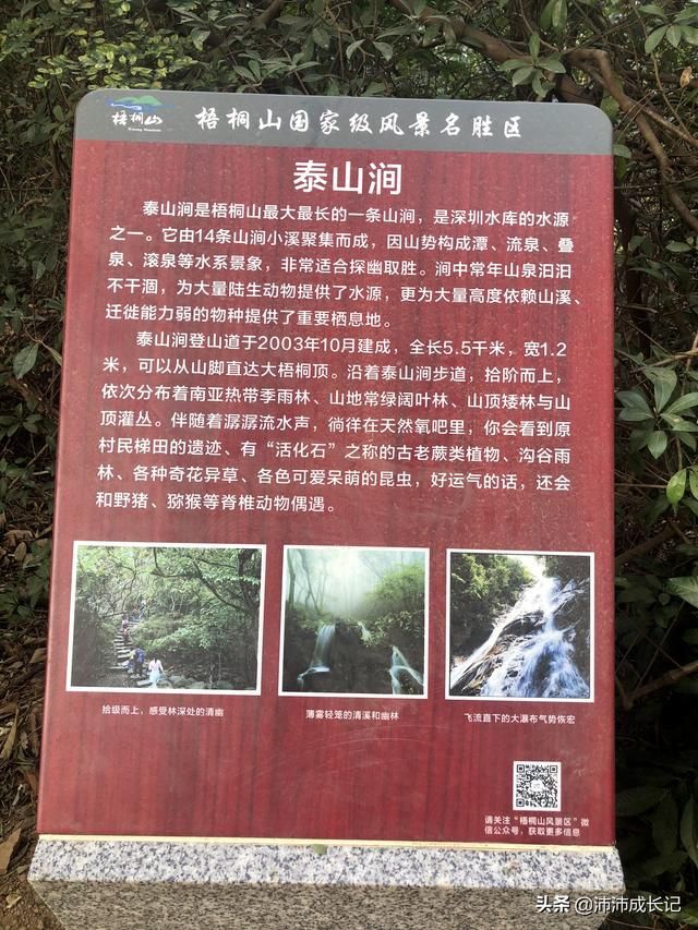 梧桐山大门在哪个入口(梧桐山总站是哪个入口)