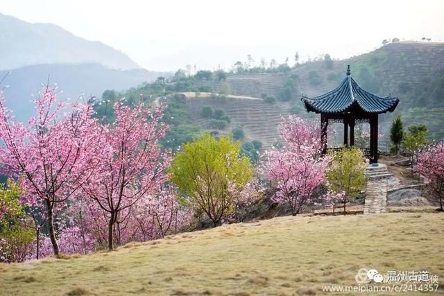 雁楠逸园在哪(永嘉雁楠逸园)