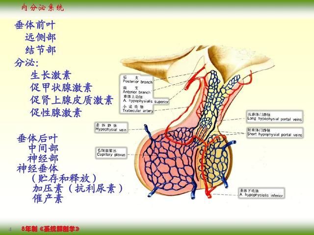 伊塞勒(伊赛冷冻牛排怎么加热)