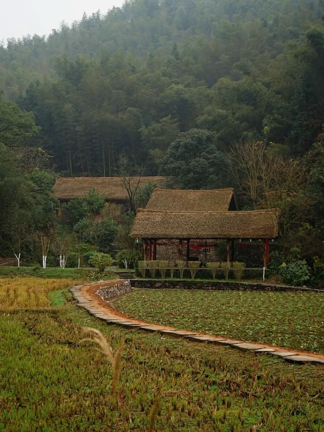 向往的生活拍摄地点在哪里(向往的生活拍摄地点在哪里第二季)