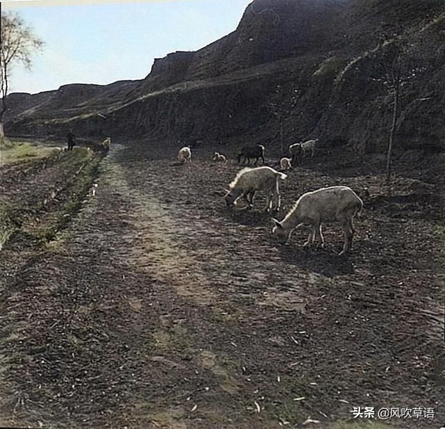 定州在哪儿(定州在哪个市)