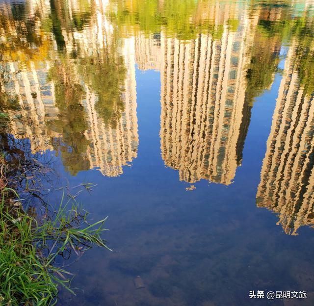 昆明淘宝街在哪里(昆明淘宝街营业时间)