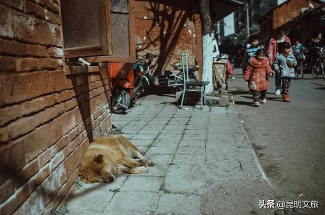 昆明淘宝街在哪里(昆明淘宝街营业时间)