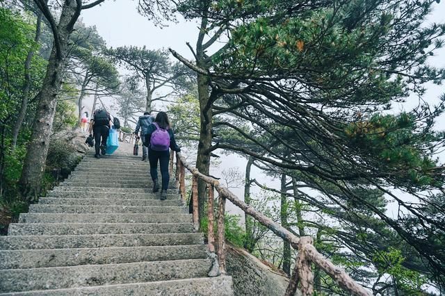 山工在哪里(山工装载机厂家在哪里)