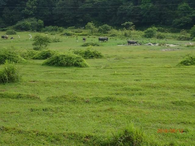 十八重溪在哪里(十八重溪桶装水)