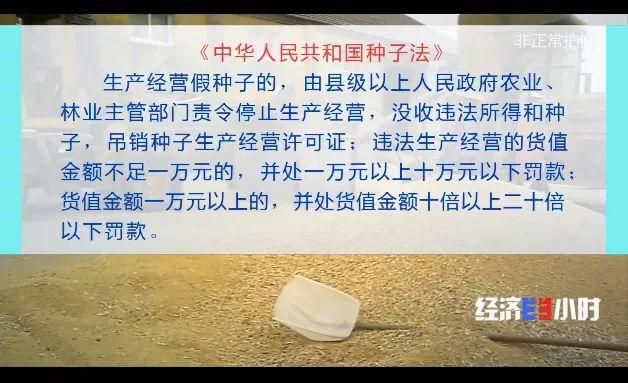 全民农场种子在哪里买(全民农场种子怎么获得)