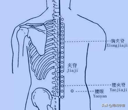 太极阳眼在哪的简单介绍