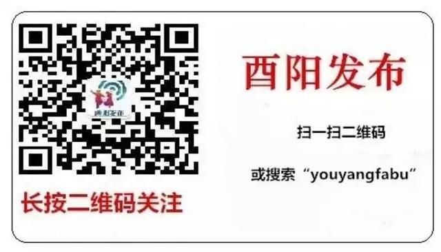 重庆网络问政平台app(重庆网络问政平台官网)