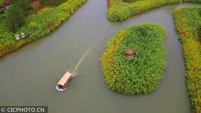 洪泽湖在哪里哪个省(洪泽湖在哪里)