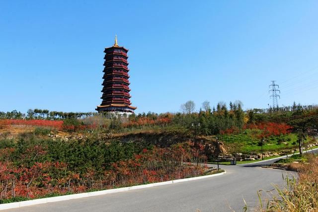 莱阳市在哪(莱阳市在哪里)