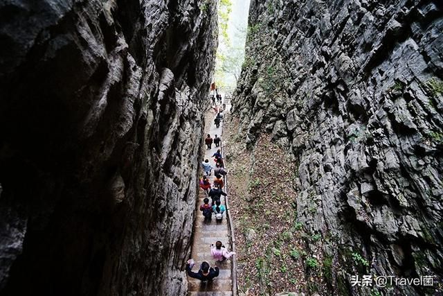 张家界大峡谷玻璃桥在哪里(张家界大峡谷玻璃桥简介)