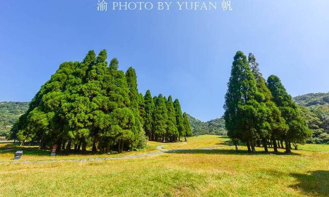 广西大容山在哪里(广西大容山自驾游攻略)