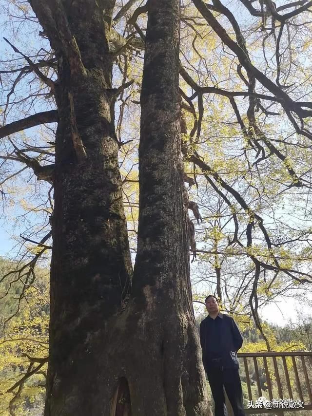 问朋友在哪(问朋友的真心话的问题)