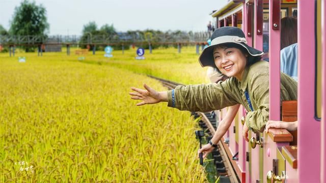 稻梦空间在哪(稻梦空间在哪里)