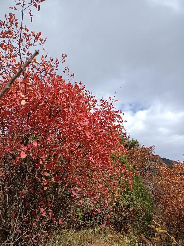 包含圭峰在哪的词条