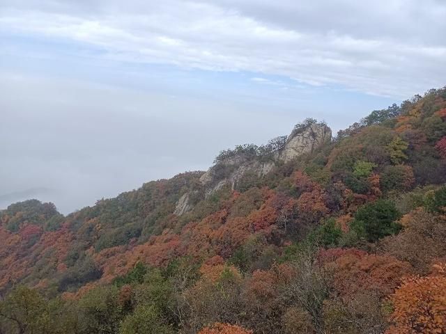 包含圭峰在哪的词条