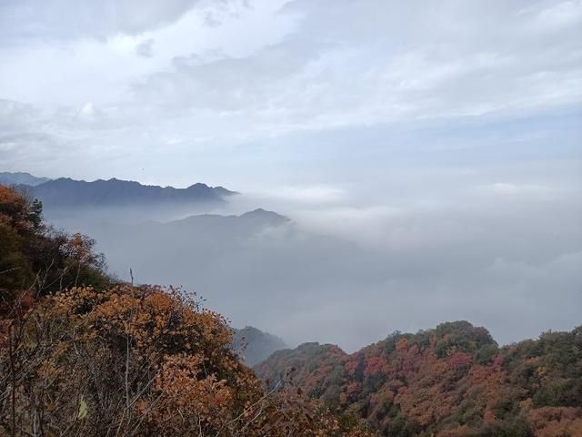 包含圭峰在哪的词条