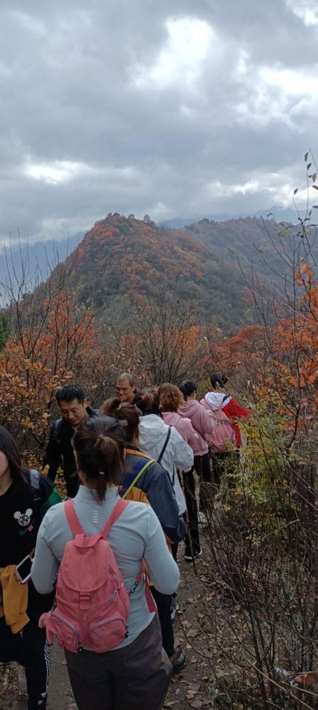 包含圭峰在哪的词条