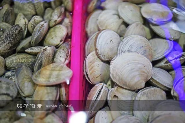 亚龙湾海鲜市场在哪里(亚龙湾海鲜市场哪里好)