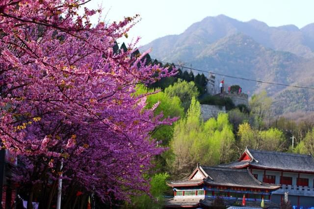 汤峪在哪里(东汤峪和西汤峪哪个好)