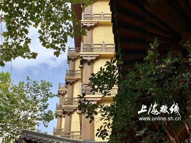 万寿寺在哪(兰州万寿寺在哪)