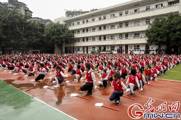 杨家坪小学校长(杨家坪小学划片范围)