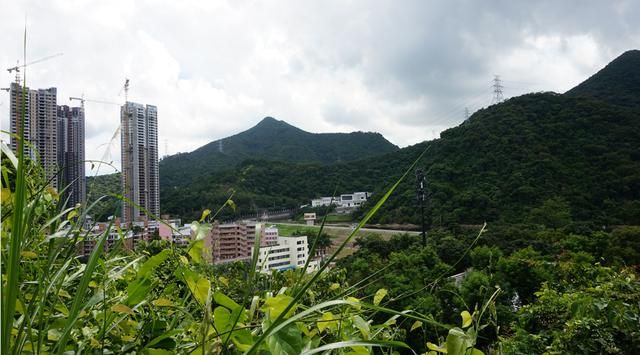 老虎涧在哪(梧桐山老虎涧有蚊虫吗)