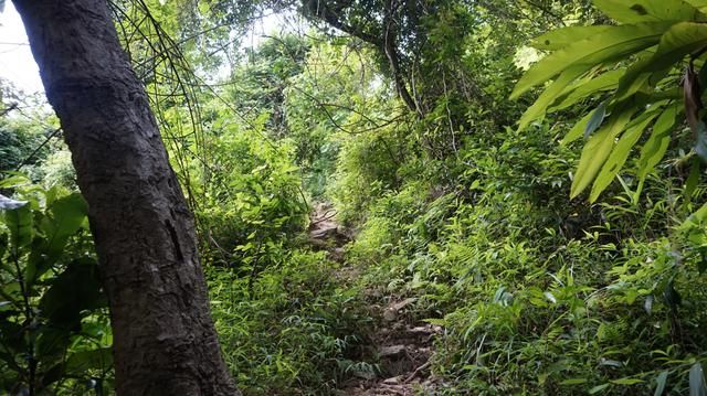 老虎涧在哪(梧桐山老虎涧有蚊虫吗)