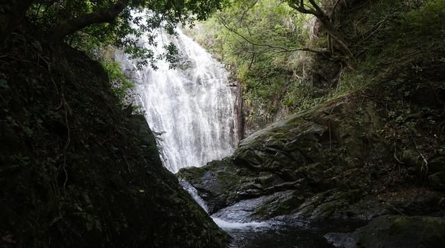 老虎涧在哪(梧桐山老虎涧有蚊虫吗)