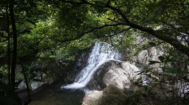 老虎涧在哪(梧桐山老虎涧有蚊虫吗)