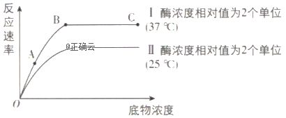 胰蛋白酶在哪里产生(胰蛋白酶在哪里起作用)