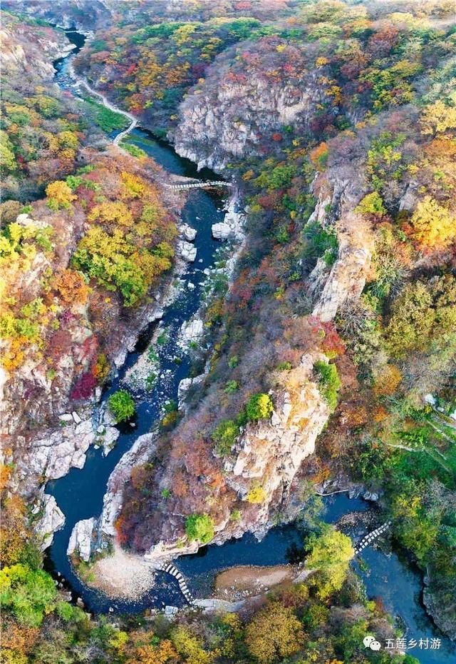 五莲在哪(五莲在哪里)