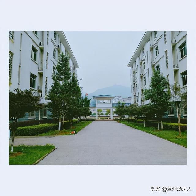 温州四中在哪(温州四中怎么样)