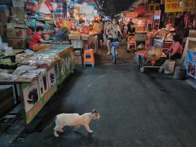 福鼎吃鸡在哪里(福鼎哪里还有吃鸡的地方)