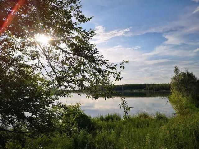 芳草湖在哪里(乌鲁木齐芳草湖在哪里)