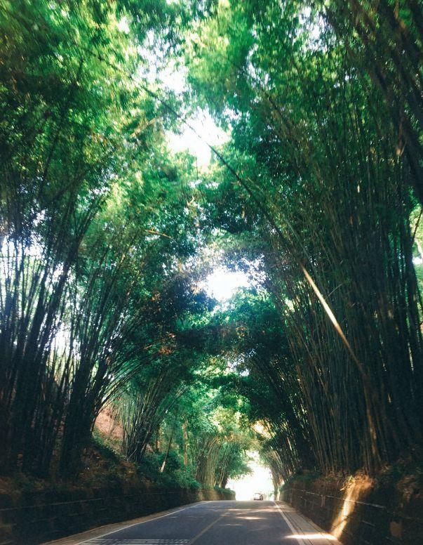 都江堰仙女湖在哪里(都江堰仙女湖景区)